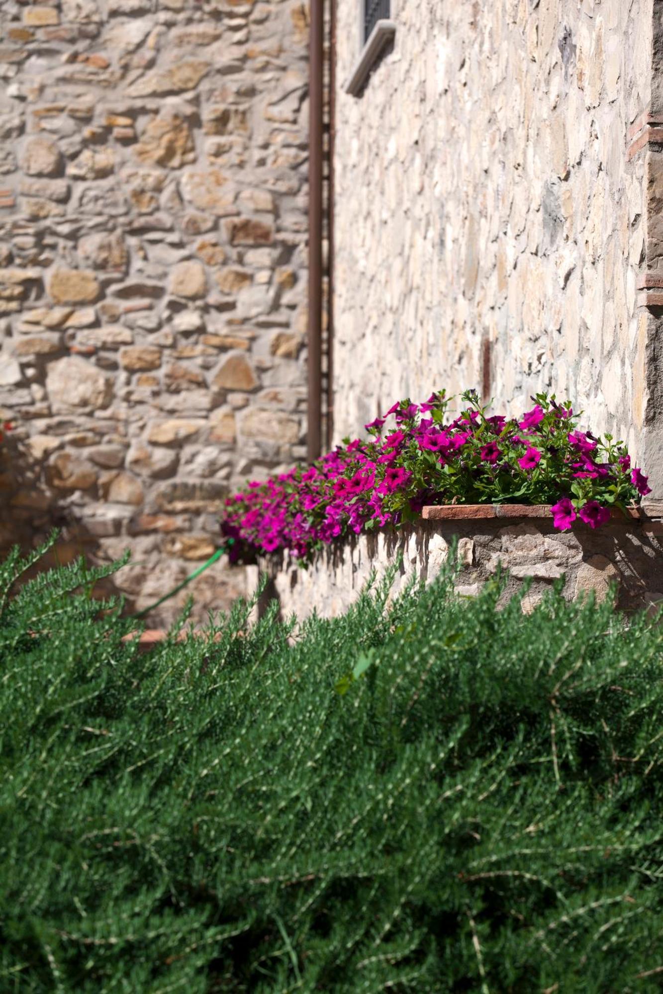 Agriturismo La Casa Di Rodo Куаррата Екстер'єр фото