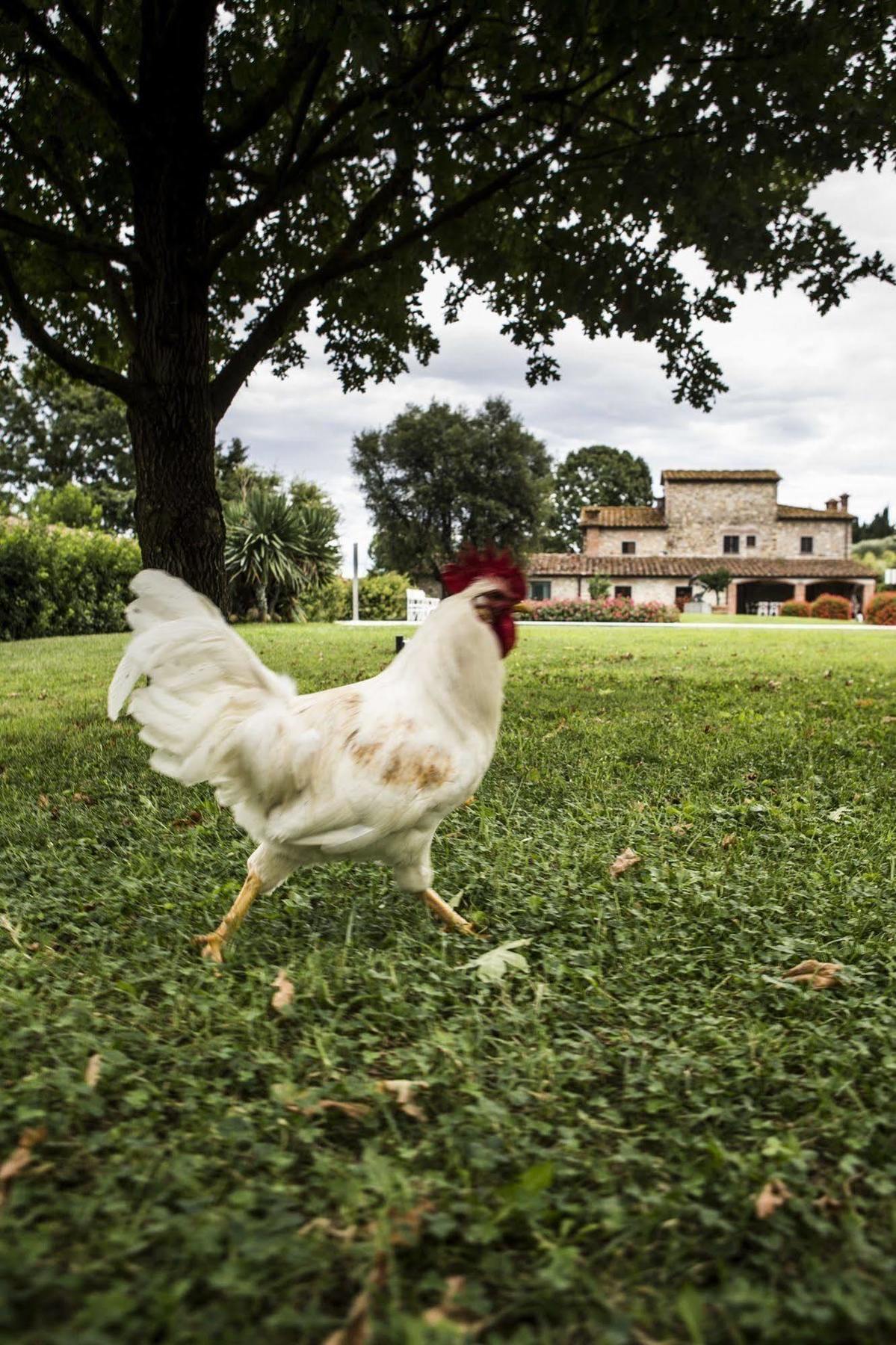 Agriturismo La Casa Di Rodo Куаррата Екстер'єр фото